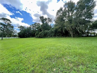 1199 N Hambletonian Dr, Hernando, FL 34442 - photo 5