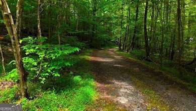 0 Nocona Trail, Ellijay, GA 30536 - photo 4