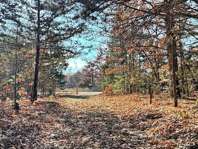 000 SE 500 Rd, Collins, MO 64738 - photo 4