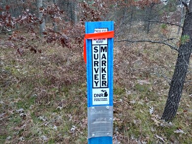 VL Par 3 S Forman Rd, Baldwin, MI 49304 - photo 6