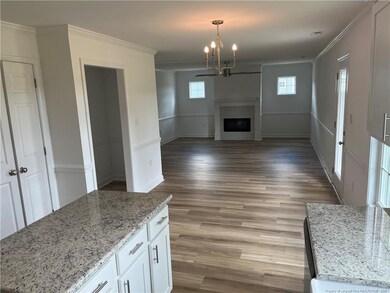 1232 Chason Rd, Lumber Bridge, NC 28357 - photo 4