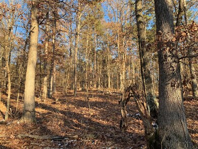 0 S27 T25 R4 unit 19084386, Poplar Bluff, MO 63901 - photo 5