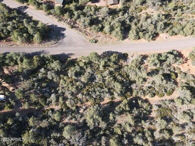 dji_fly_20250614_075446_859_174991289609