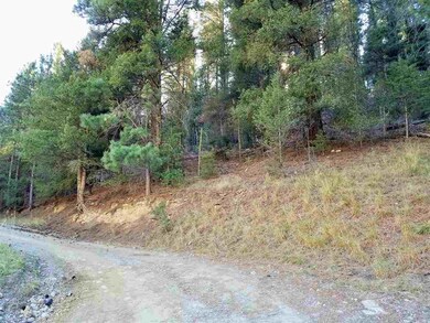 Lot 89 Wimsatt Loop, Cloudcroft, NM 88317 - photo 3