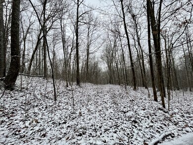 0 Sheep Bluff Rd unit RTC2480679, Cookeville, TN 38506 - photo 3