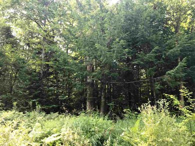 0 Slate Ledge Rd unit 4712074, Littleton, NH 03561 - photo 6