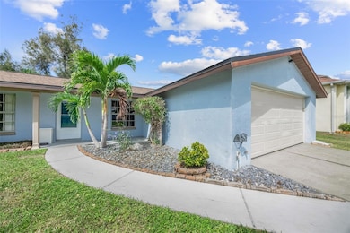 542 Red Mangrove Ln, Apollo Beach, FL 33572 - photo 6