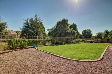 7 LARGE BACK YARD
