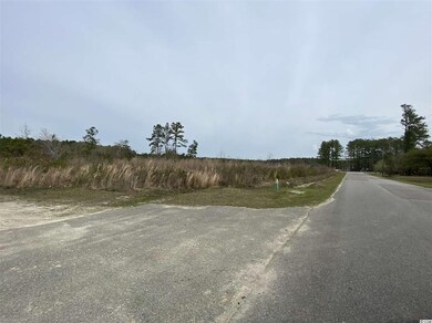 1346 Rodney Rd, Conway, SC 29526 - photo 3