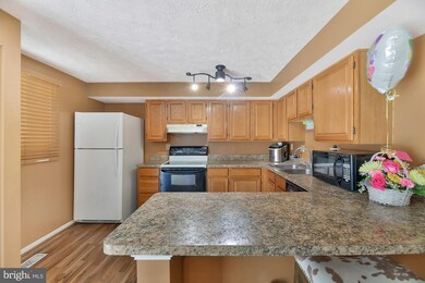 13 Hunt Cup Cir, Owings Mills, MD 21117 - photo 7