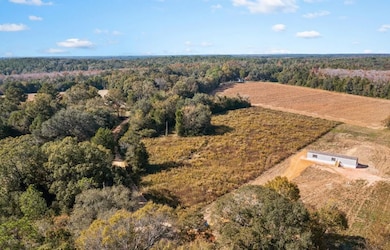 3141 Leamon Smith Rd, Bonifay, FL 32425 - photo 2