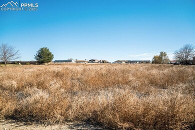 231 W Palmer Lake Dr, Pueblo West, CO 81007 - photo 6