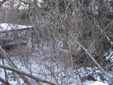 Land/Lot.