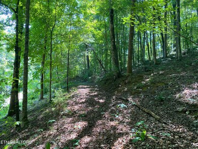 0 Cove Pointe Rd unit 1305790, Lafollette, TN 37766 - photo 4