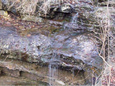 0 Irish Hills Blvd, Kimberling City, MO 65686 - photo 5