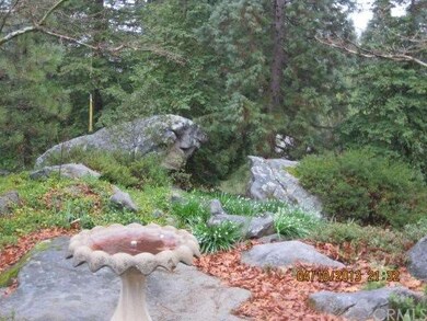 Lovely bird bath, a character rock surrounded by t