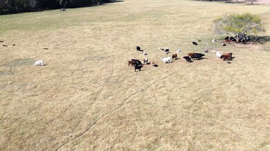 485 Private Road 6142, Grapeland, TX 75844 - photo 4