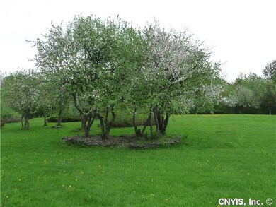 Yard/Garden