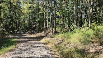 929 Poplar Ridge Rd unit (Ponds Poplar Ridge, Gallipolis, OH 45631 - photo 4