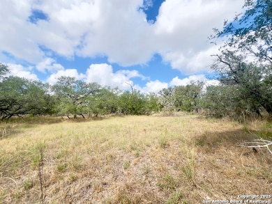 TBD County Road 6813, Natalia, TX 78059 - photo 3