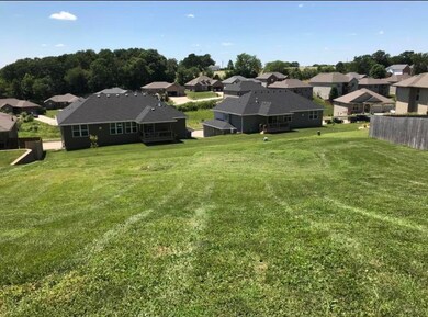 843 S Cobble Creek ( Lot 128) Blvd, Nixa, MO 65714 - photo 2