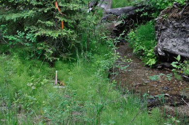 Meadow Creek