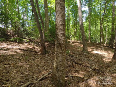 00 Shumont Estates Dr unit 50, Lake Lure, NC 28746 - photo 6