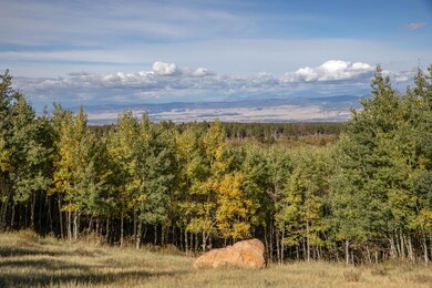 451 Birdsong Ln, Montrose, CO 81403 - photo 3