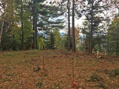 16 Kirkwood Ln, Stowe, VT 05672 - photo 2