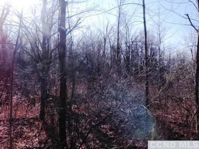 0 Benton Rd unit 88019, Gallatin, NY 12523 - photo 3