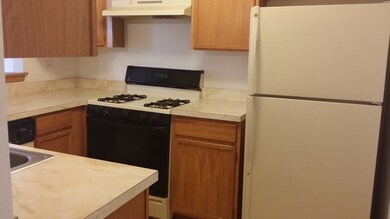 1840 Mappold Way, Joliet, IL 60435 - photo 4