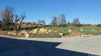 Rocks & Trees along Circular Driveway