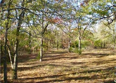 2003 Upper Elgin River Rd, Elgin, TX 78621 - photo 2