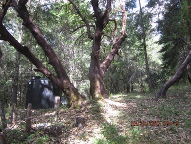 00 Sunset Ridge Rd, Blocksburg, CA 95514 - photo 3