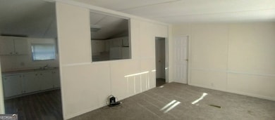 846 Hawpond Rd, Arabi, GA 31712 - photo 6