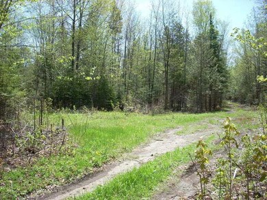 Land/Lot.