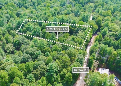 211 Bartox Dr, Ellijay, GA 30540 - photo 3