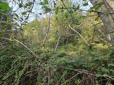 00 & 000 Wolverine Way, Whitethorn, CA 95589 - photo 5