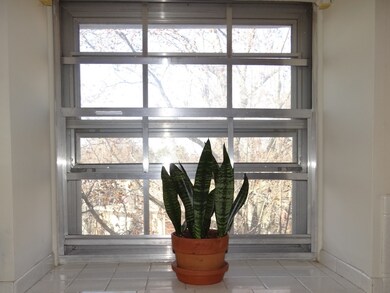 Kitchen Window