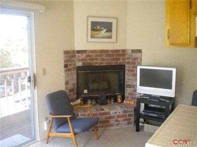 Wood burning fireplace on a raised used brick hear