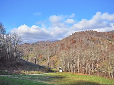 200 Rabbit Hop Dr, Burnsville, NC 28714 - photo 3