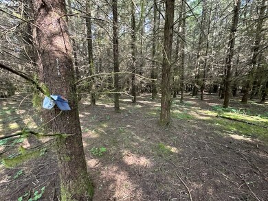 0 S Cedar Mill Rd, Lyons, OR 97358 - photo 6