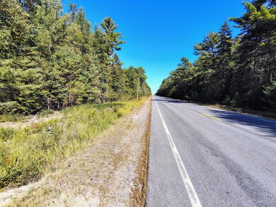 0 Us Route 1 unit 1637801, Milbridge, ME 04658 - photo 4