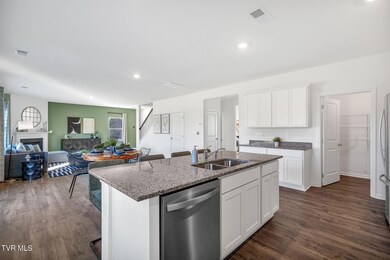 235 Artist Ave, Johnson City, TN 37615 - photo 4