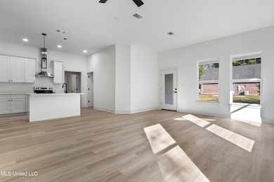 2836 Honduras Dr, Gautier, MS 39553 - photo 6