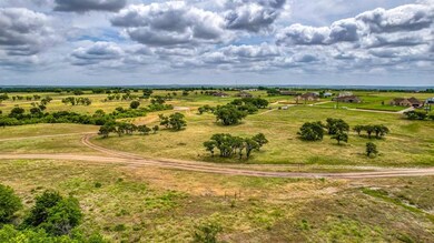 268 Latigo Way, Weatherford, TX 76088 - photo 6