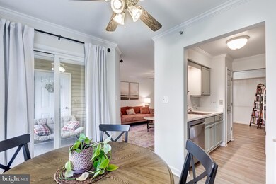 3840 Normandy Dr unit 3B, Hampstead, MD 21074 - photo 6