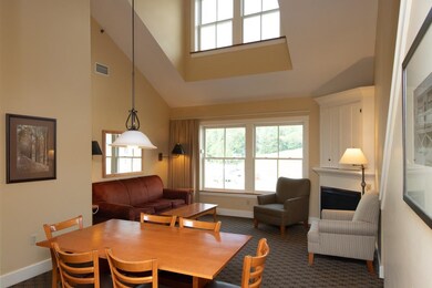 Jackson Gore Village, Ludlow, VT 05149 - photo 3