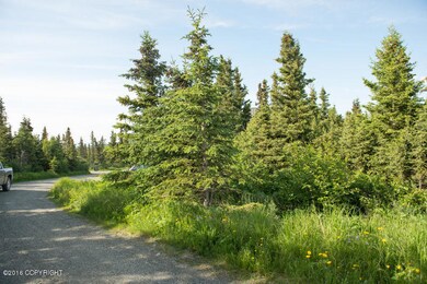 Lowe Lot Pics 6-9-16-9