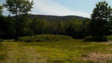 View of Acadia Mt